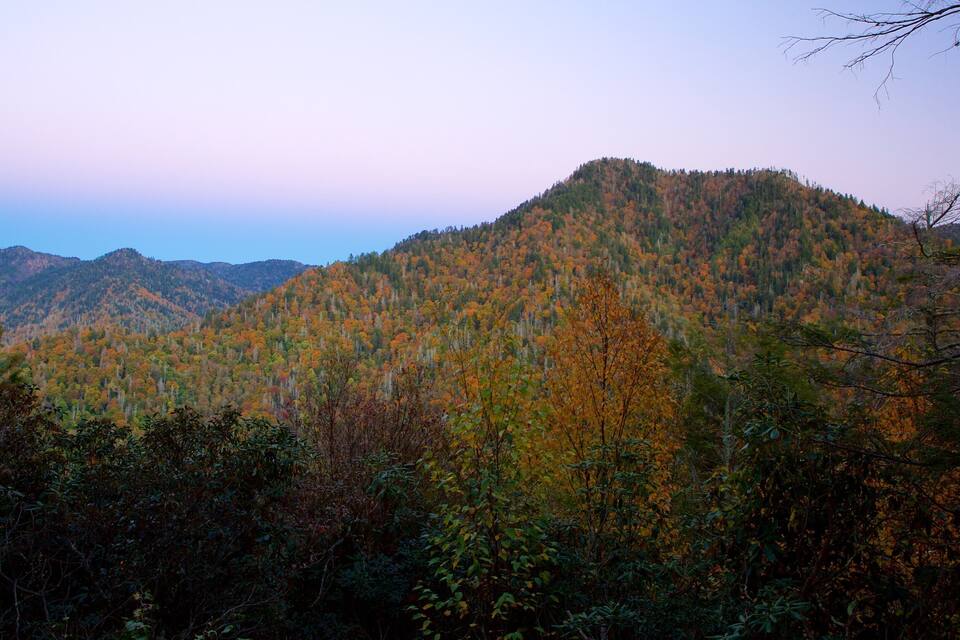 A mountain with autumn foliage.