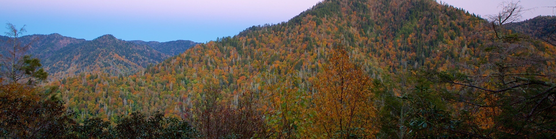 Chimney Tops que inclui um pôr do sol, paisagem e cenas tranquilas