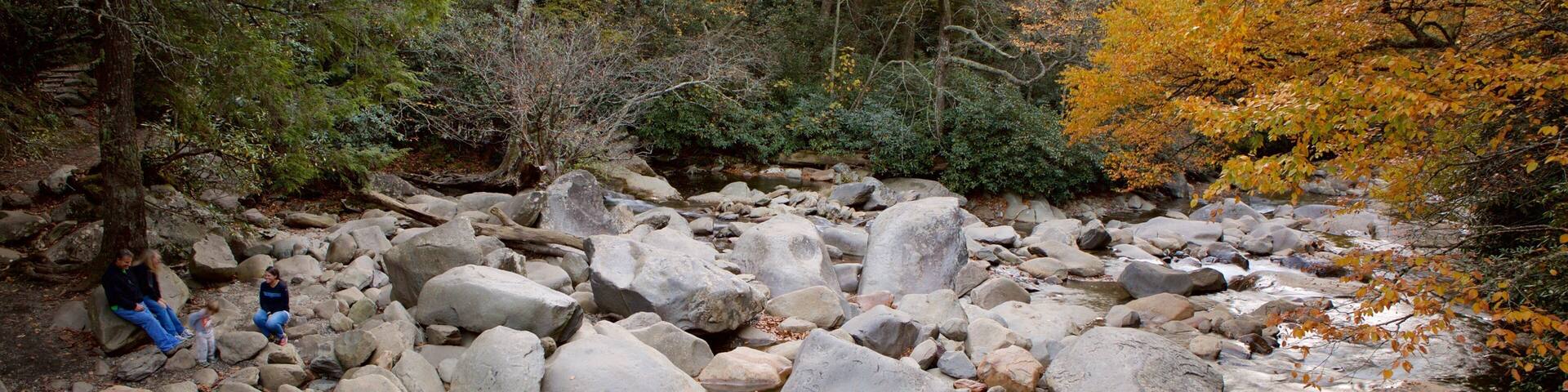 A rocky stream with autumn foliage and people sitting on rocks.