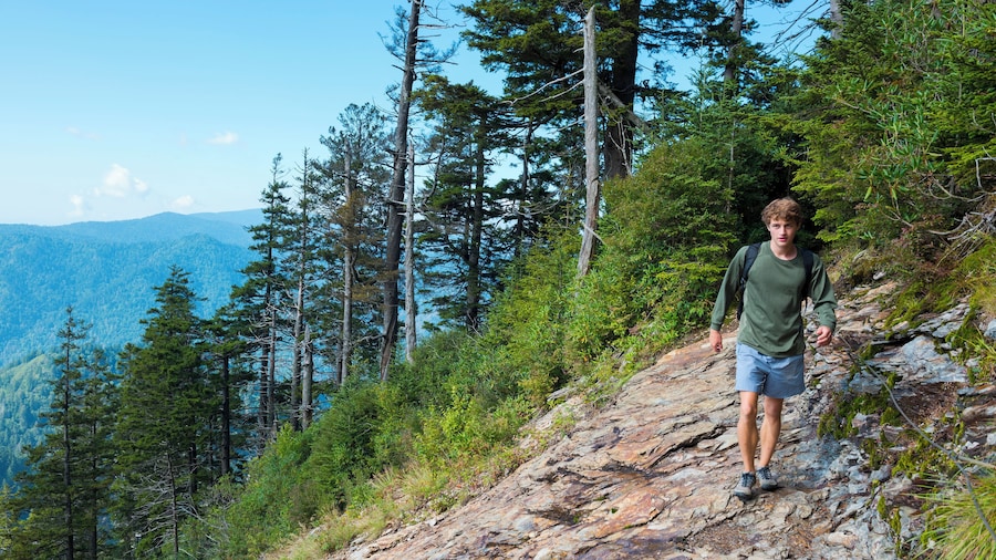 A teenager hikes on the Alum Cave Trail, descending from Mount LeConte to the trailhead and parking lot several miles below. Great Smoky Mountains National Park