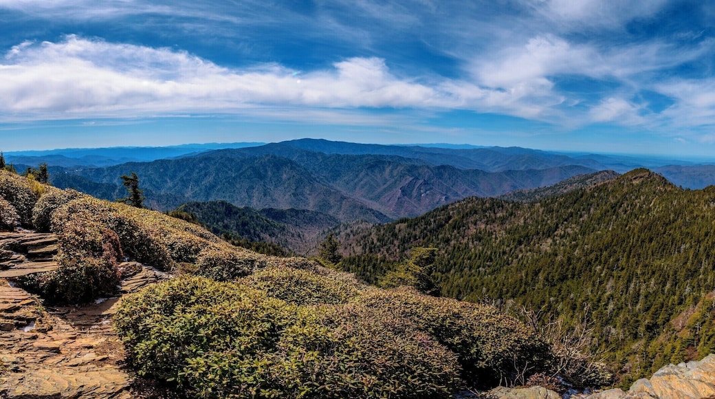View from the summit of Mt. LeConte in the Great Smoky Mountain National Park.