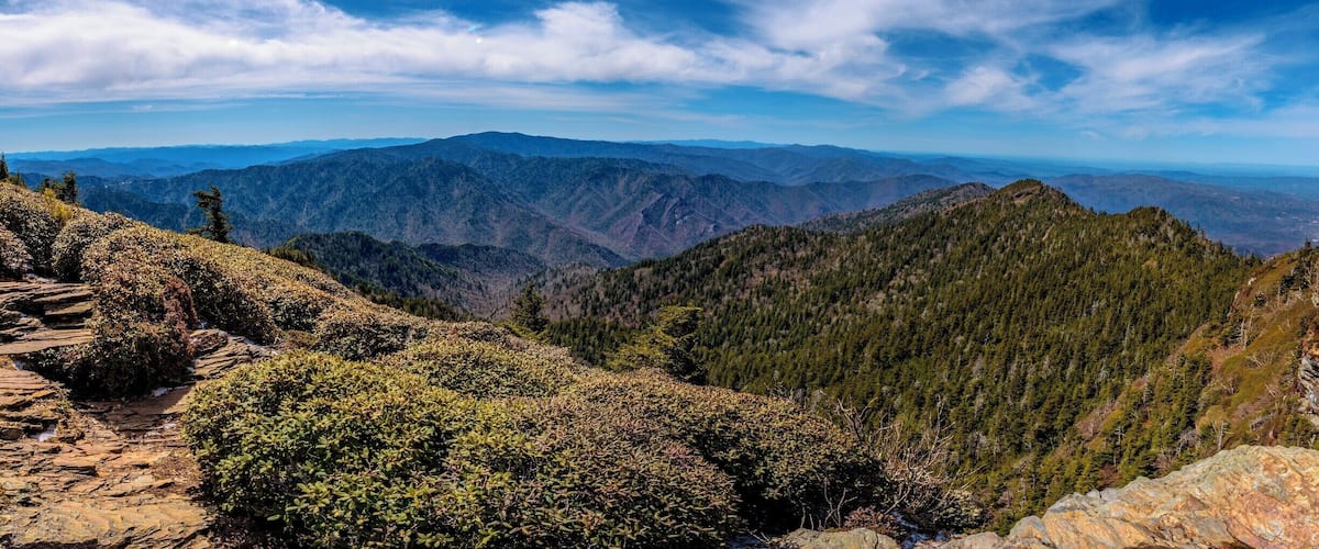 View from the summit of Mt. LeConte in the Great Smoky Mountain National Park.