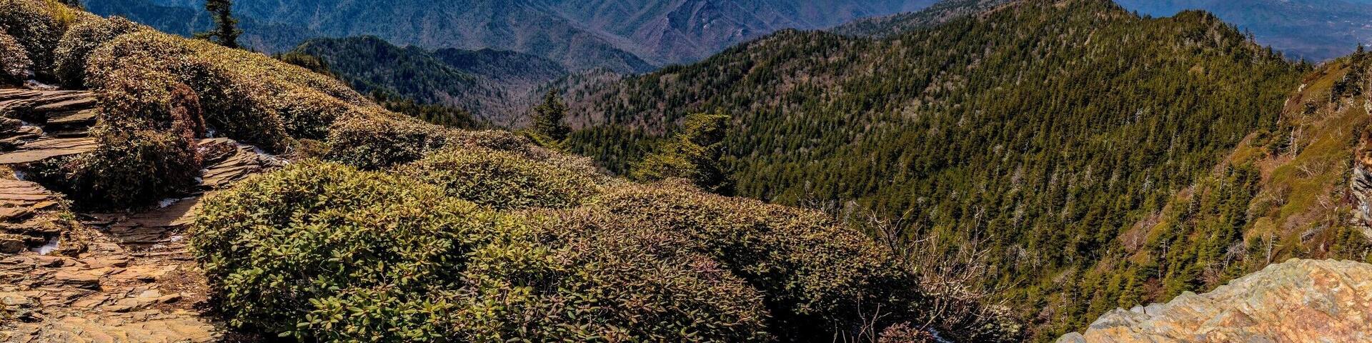 View from the summit of Mt. LeConte in the Great Smoky Mountain National Park.