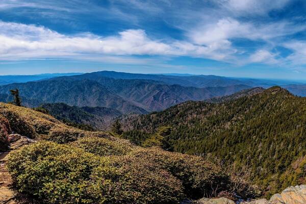 View from the summit of Mt. LeConte in the Great Smoky Mountain National Park.
