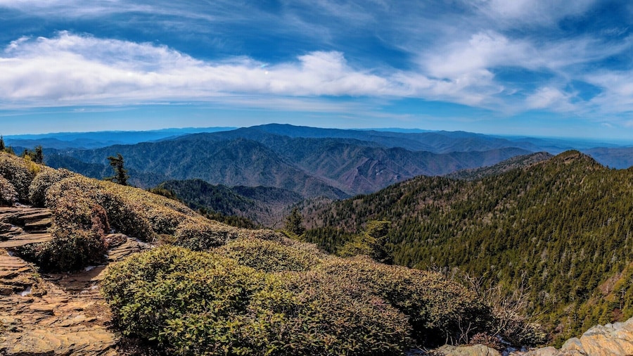 View from the summit of Mt. LeConte in the Great Smoky Mountain National Park.