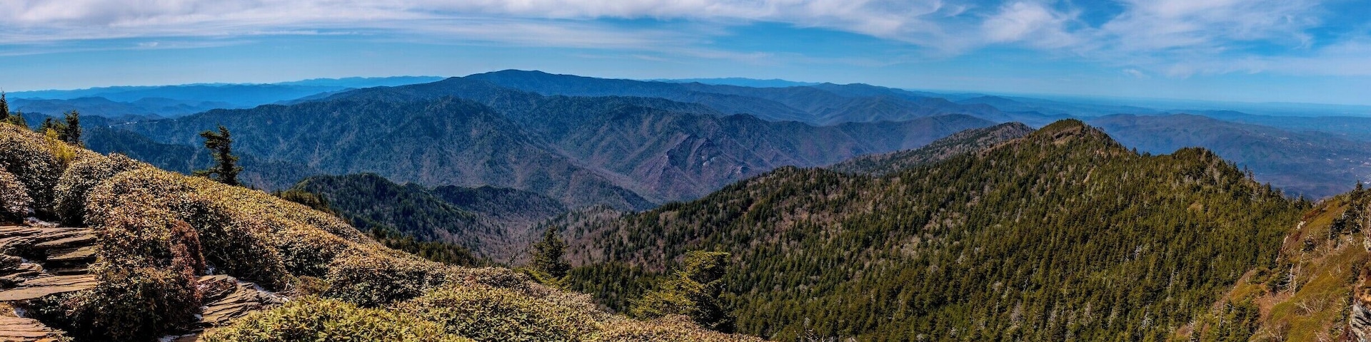 View from the summit of Mt. LeConte in the Great Smoky Mountain National Park.