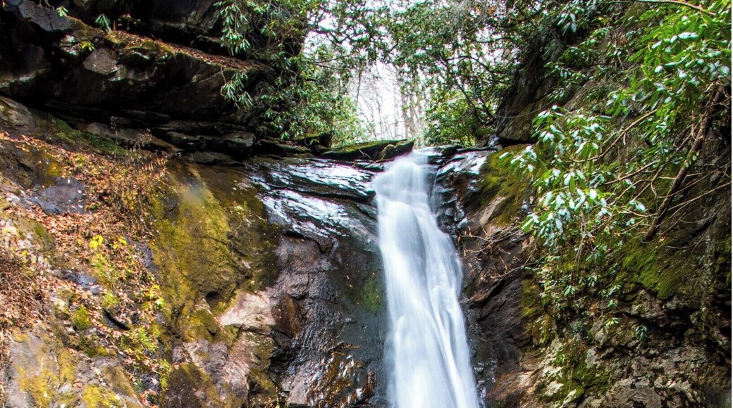 A beautiful and remote waterfall with a nice swimming hole at the base. Visit this in the colder seasons and you might have the place all to yourself.
Video guide of the falls: https://www.hdcarolina.com/episode/courthouse-falls