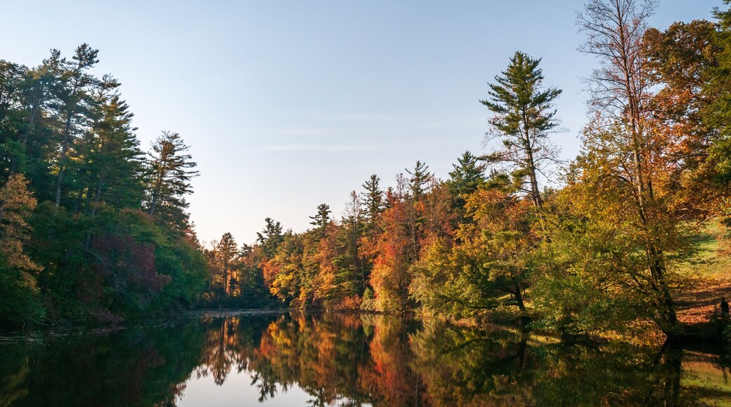 Carl Sandburg Home National Historic Site