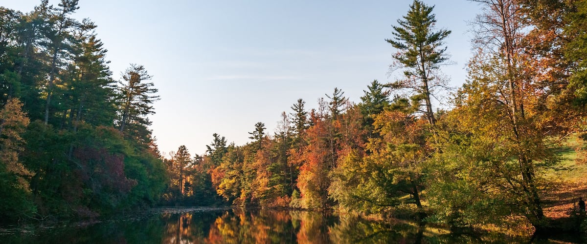 Carl Sandburg Home National Historic Site