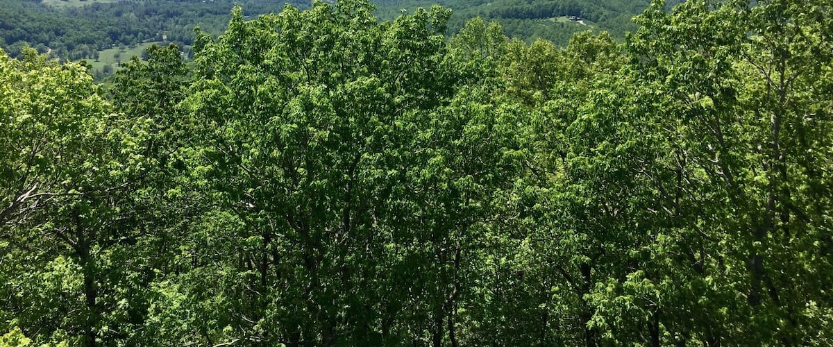 Standing in North Carolina and we are able to see into South Carolina and Tennessee with the Blue Ridge mountains in the distance.