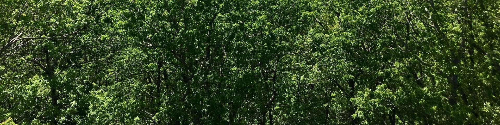 Standing in North Carolina and we are able to see into South Carolina and Tennessee with the Blue Ridge mountains in the distance.