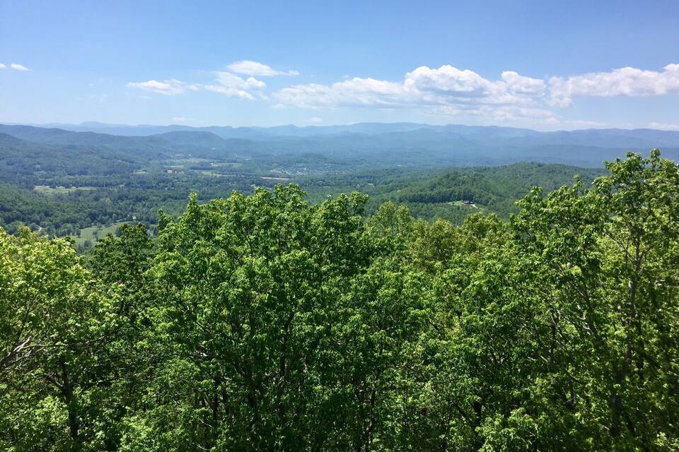 A dense forest with a view of distant mountains under a clear sky.