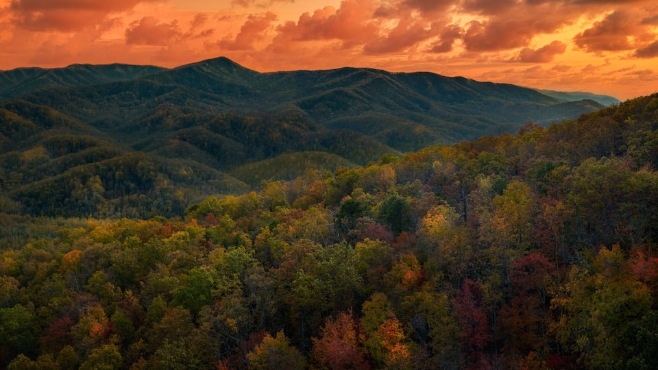 A mountainous landscape with autumn foliage.