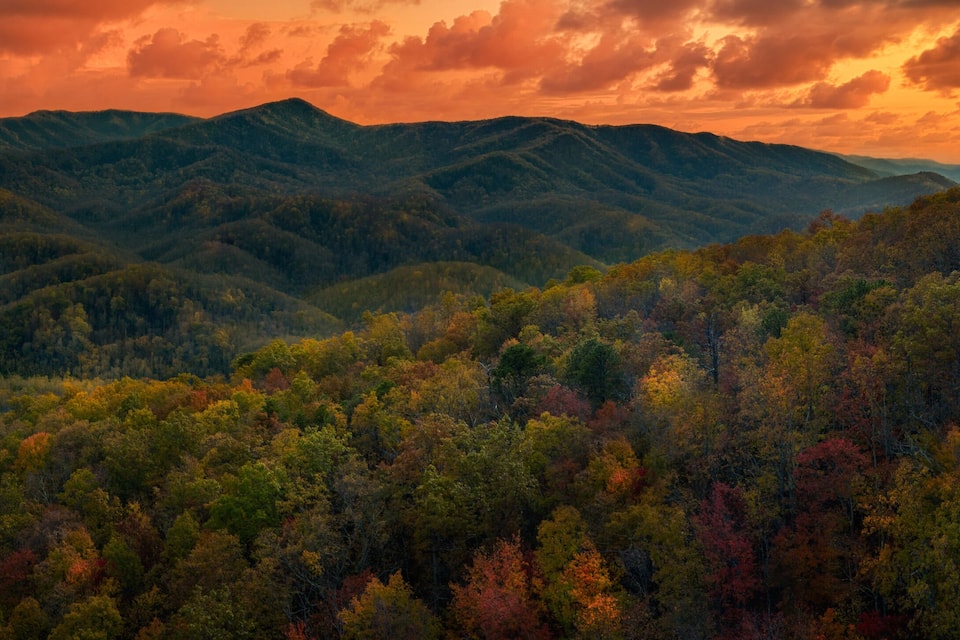 A mountainous landscape with autumn foliage.
