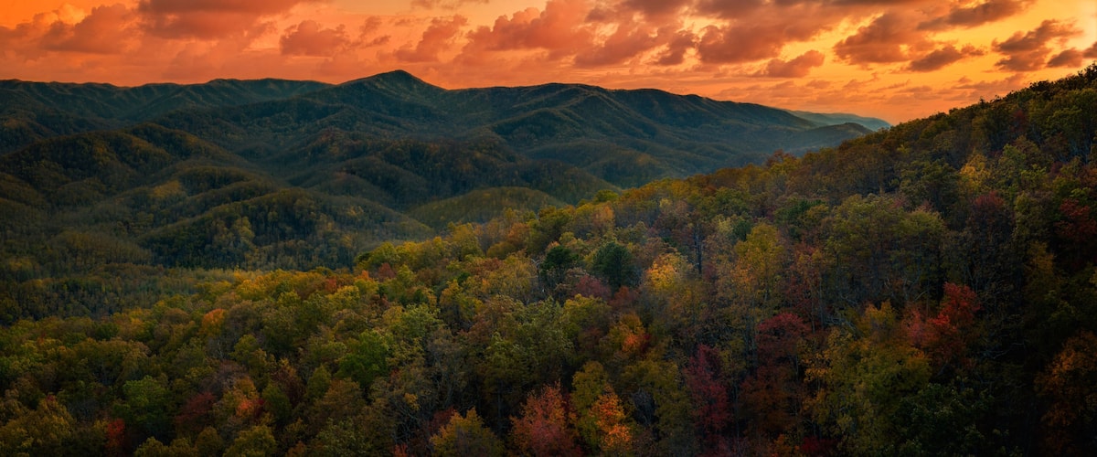 A mountainous landscape with autumn foliage.