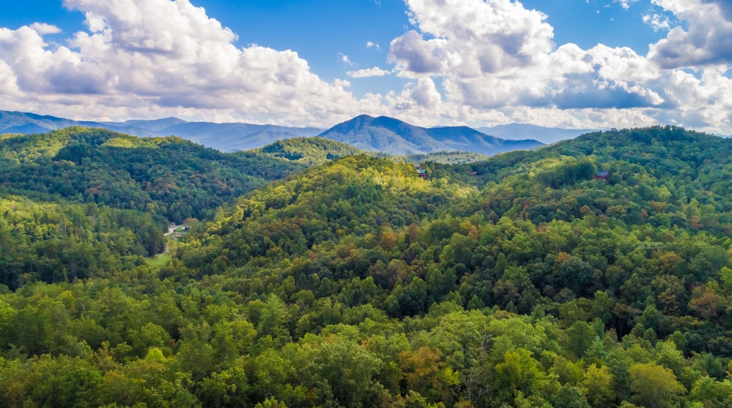 TN Smoky Mountains in summer