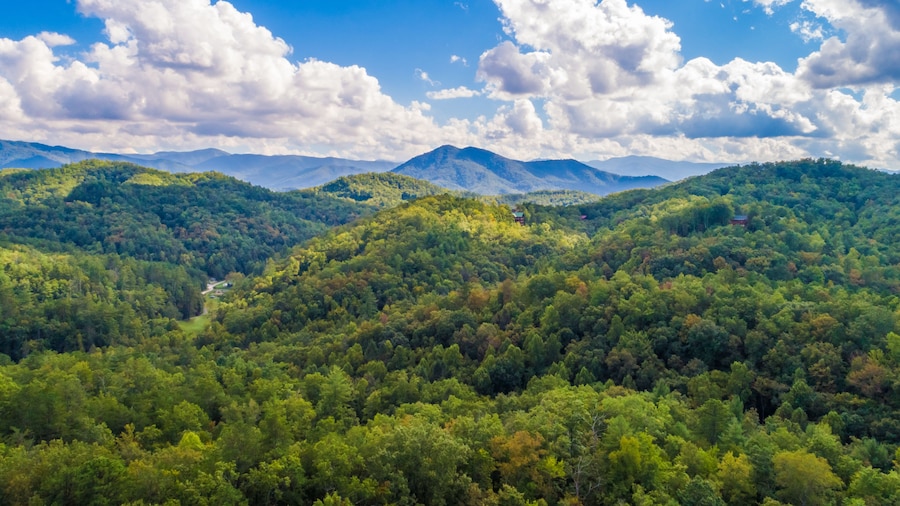 TN Smoky Mountains in summer