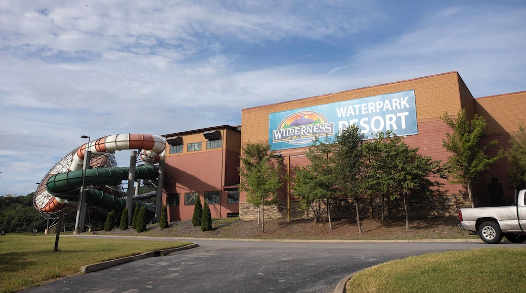 Wilderness at the Smokies