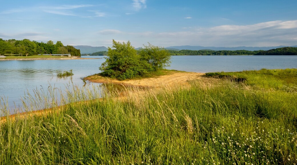 Douglas Lake in the spring in Tennessee with the Great Smoky Mountains in the background, the water and sandy shore with a blue sky filled with clouds in the distance.
