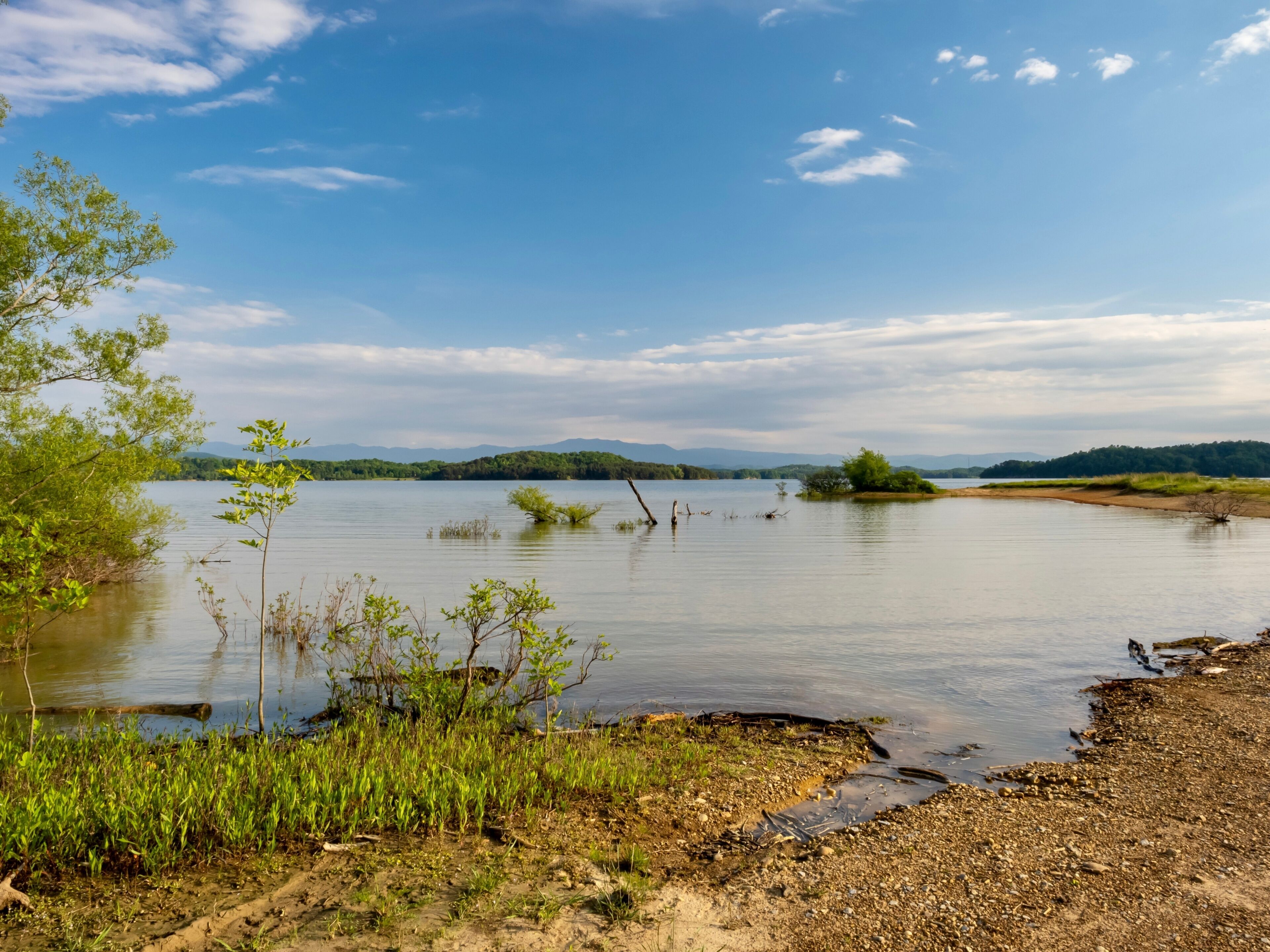 Douglas Lake in the spring in Tennessee with the Great Smoky Mountains in the background, the water and sandy shore with a blue sky filled with clouds in the distance.