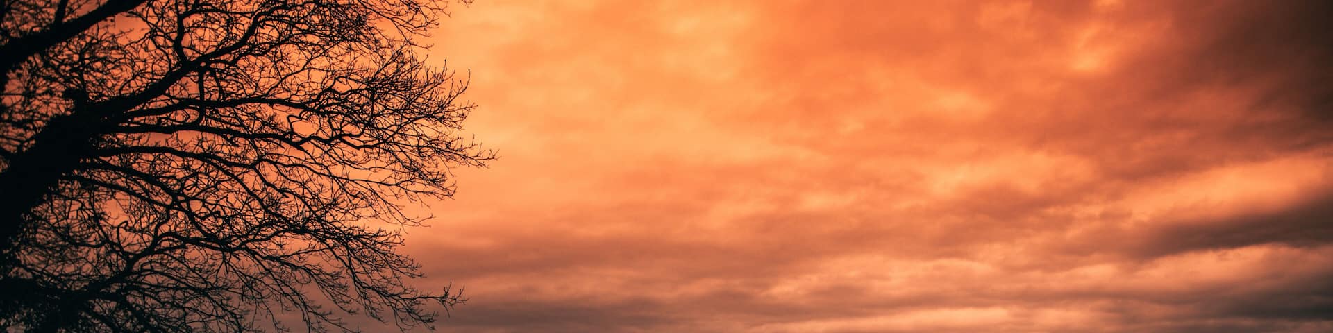 Sunset at Douglas Lake, TN