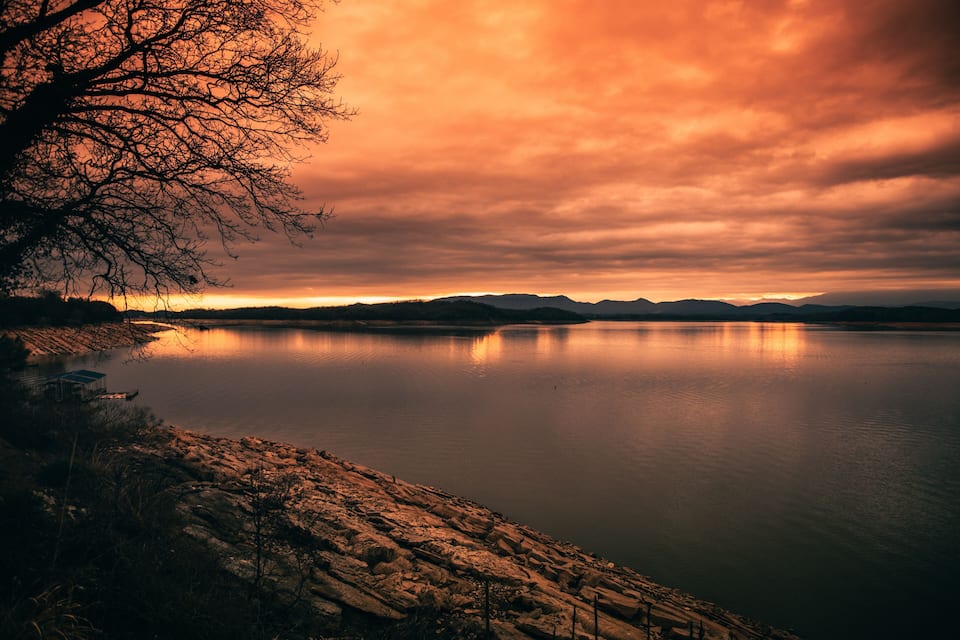 A calm lake at sunset with a tree silhouetted against the sky.