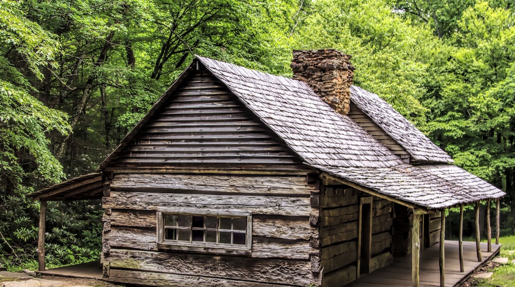 Historic Ogle Log Cabin