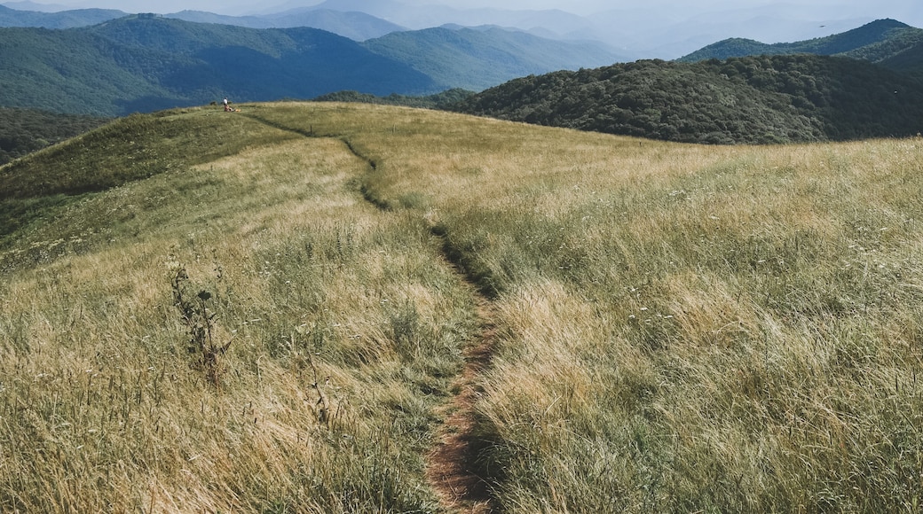Appalachian Trail passing through Max Patch, North Carolina