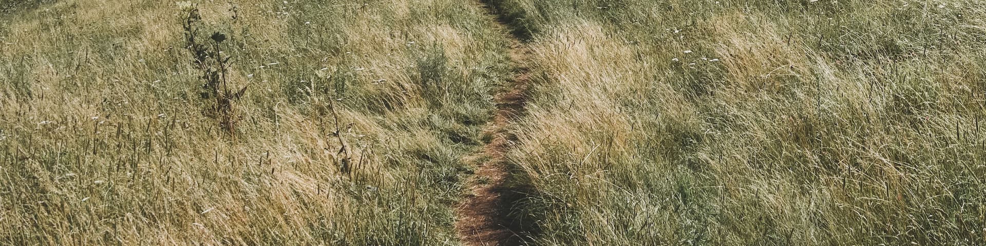 A grassy hill with a trail leading to a person in the distance, surrounded by rolling hills and a cloudy sky.