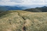 Une colline verdoyante avec un sentier qui mène à une personne au loin, entourée de collines ondulantes et sous un ciel nuageux.