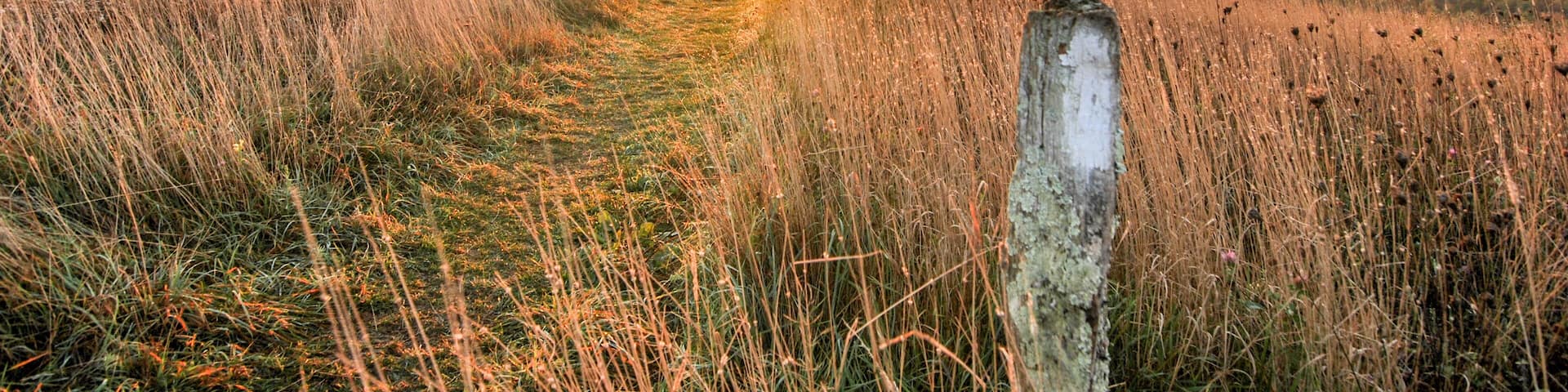 Appalachian Trail Sunrise