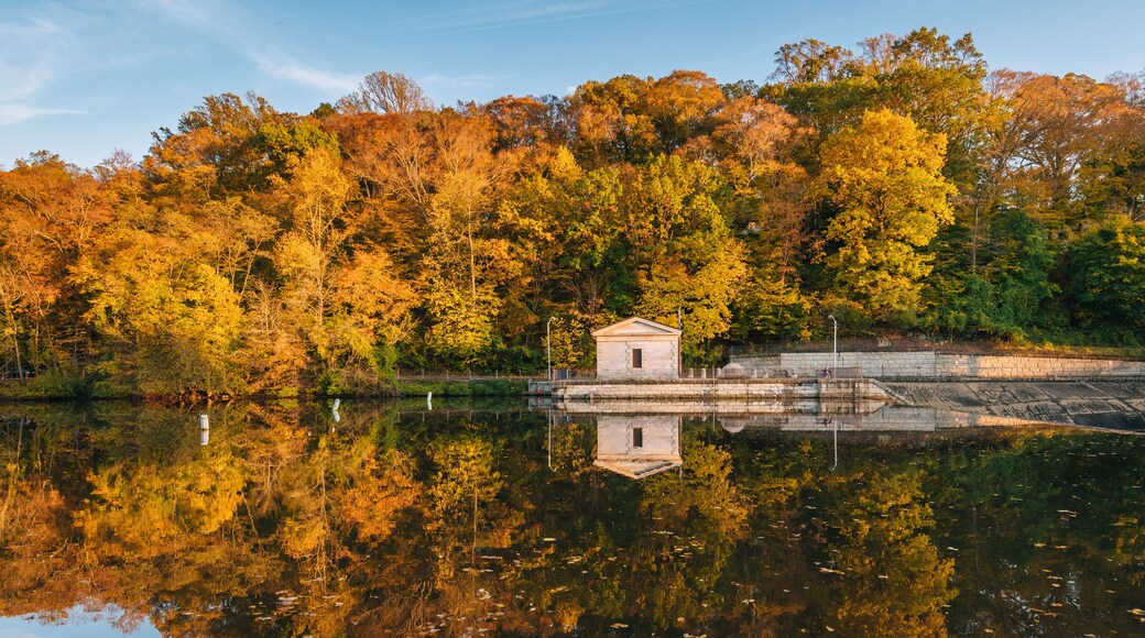 로버트 레이크 공원