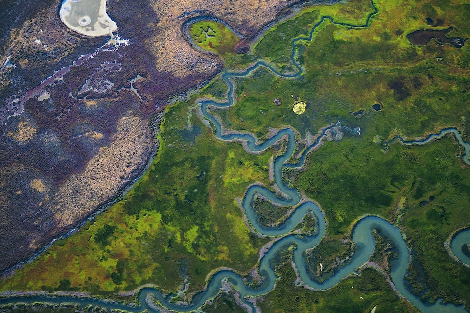 Um rio serpenteando por uma paisagem verde, com áreas de vegetação marrom e amarela.