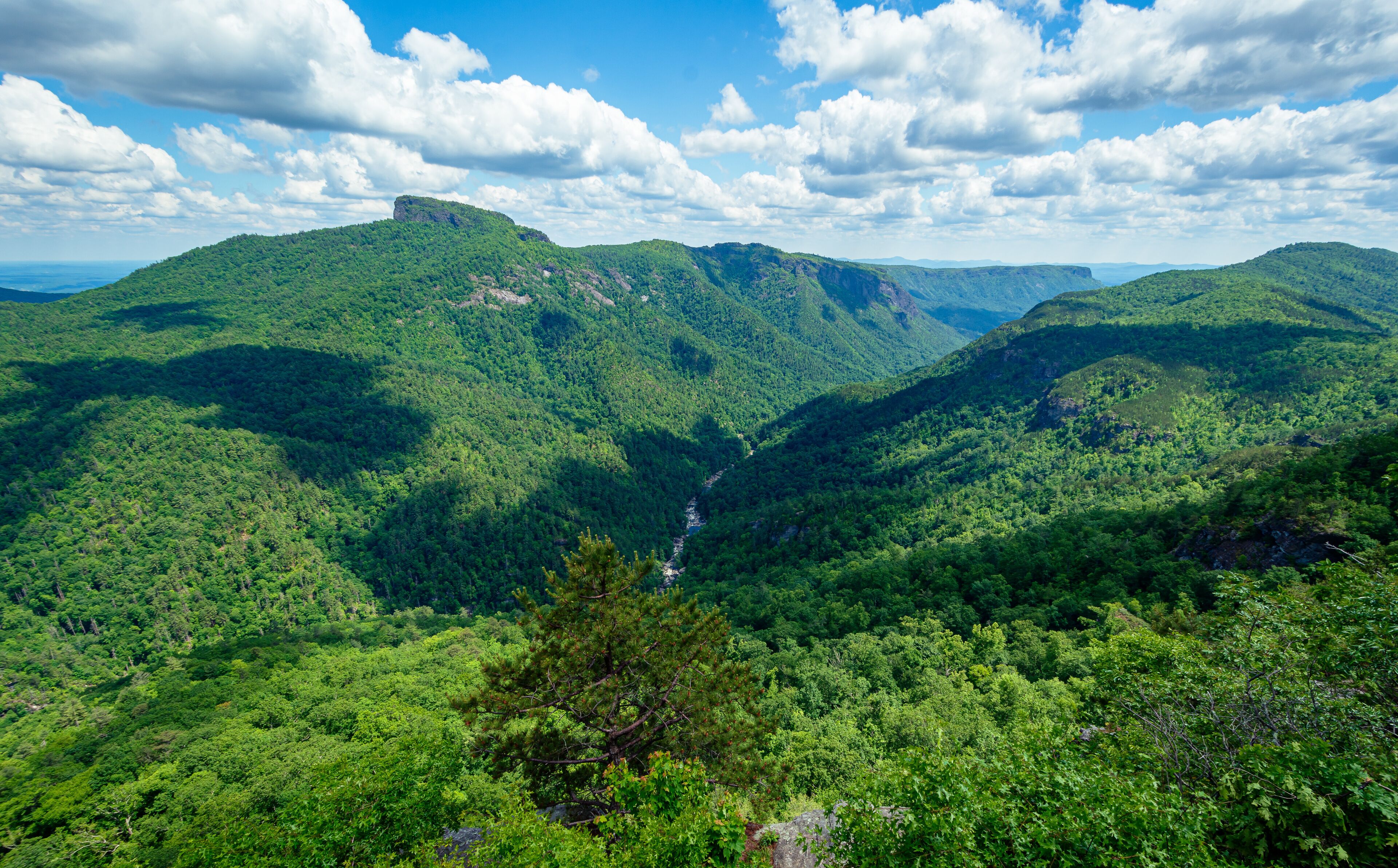 Wiseman's View Scenic Overlook at Linville Gorge, North Carolina