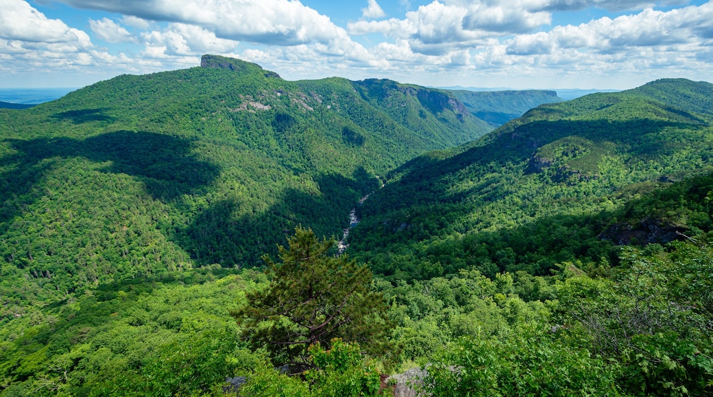 Parc Linville Gorge Wilderness