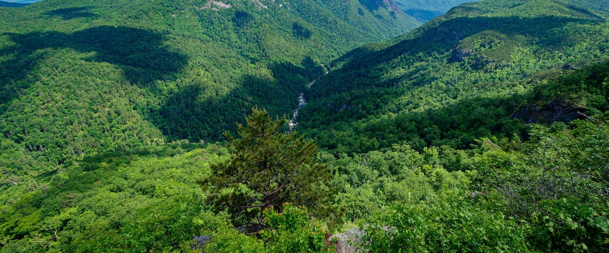 Wiseman's View Scenic Overlook at Linville Gorge, North Carolina