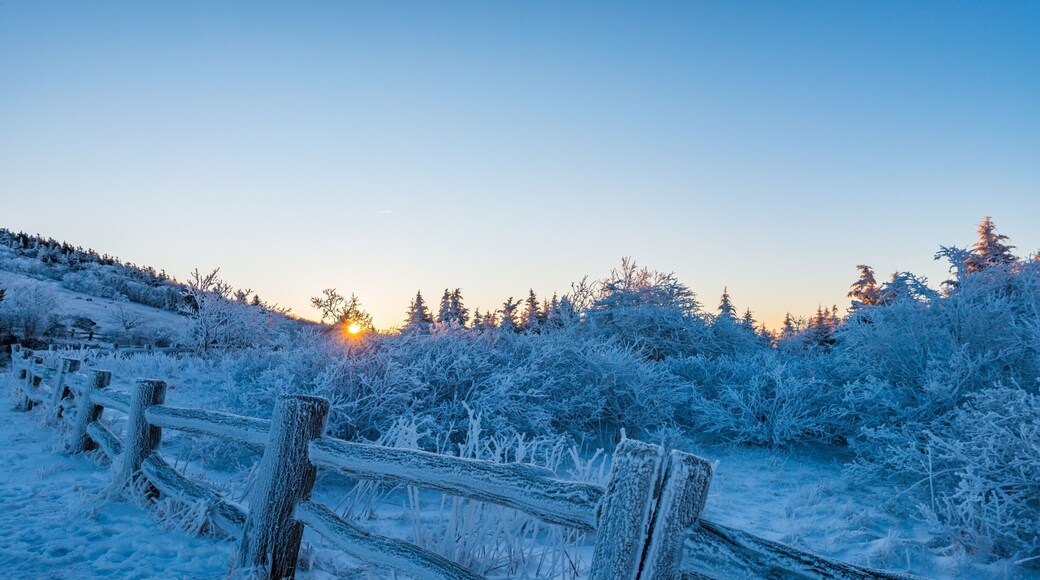 Roan Mountain Sunrise