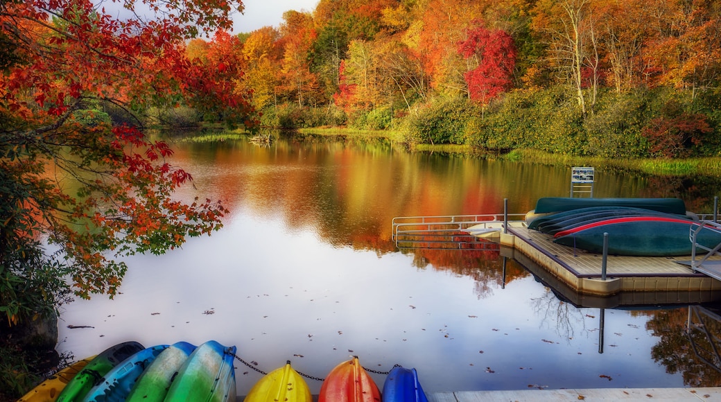 ジュリアン プライス パーク