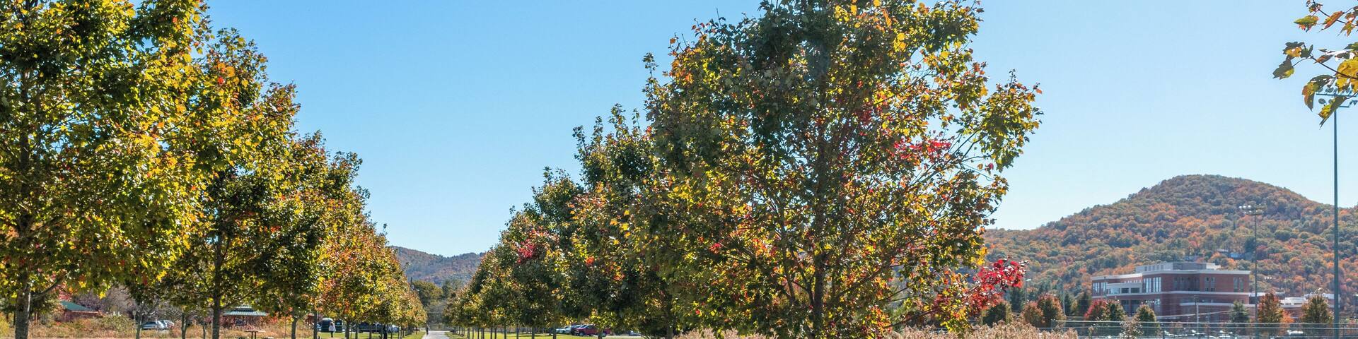 Boone_TheGreenwayTrail_5532486215326572Boone_TheGreenwayTrail_553248621532657225-8