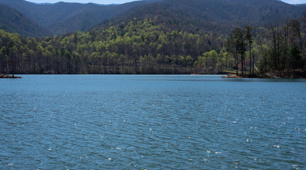 Watauga Lake