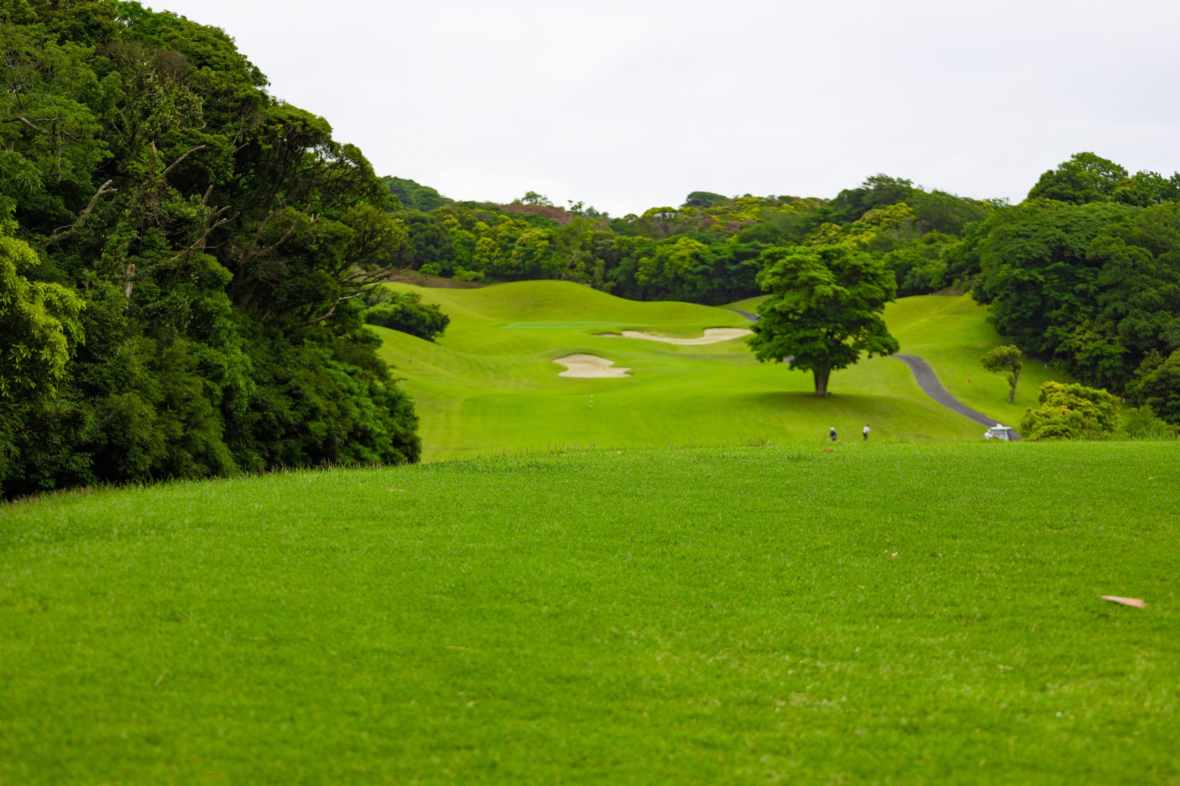 曇り空のゴルフ場・バンカー、木のあるコースのティーグラウンド(千葉県富津市)