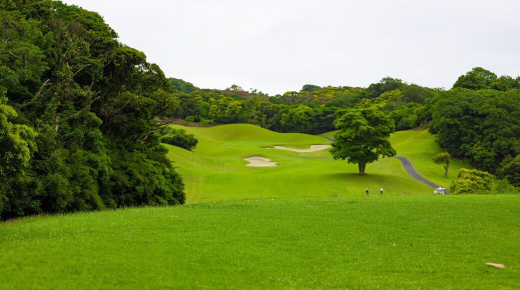 Woodland Valley Country Club