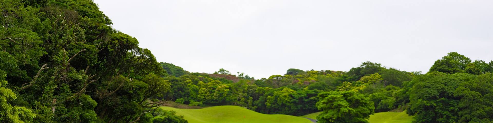 曇り空のゴルフ場・バンカー、木のあるコースのティーグラウンド(千葉県富津市)