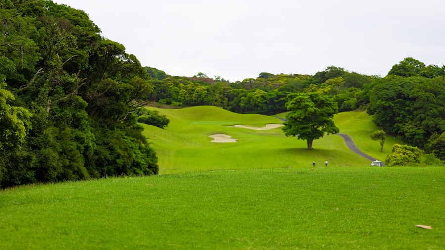 曇り空のゴルフ場・バンカー、木のあるコースのティーグラウンド(千葉県富津市)