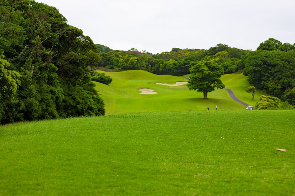 A lush green golf course with sand bunkers and a winding path.