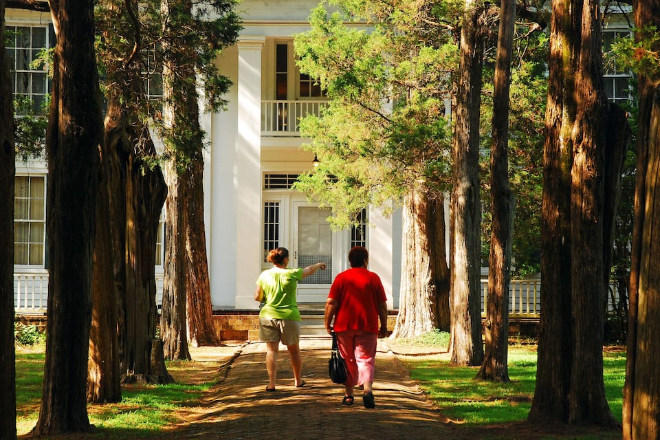 A pathway lined with tall trees leading to a white building with a balcony.
