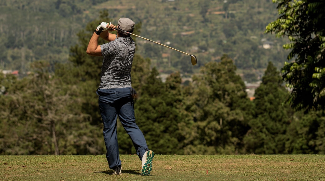 A man swinging a golf club