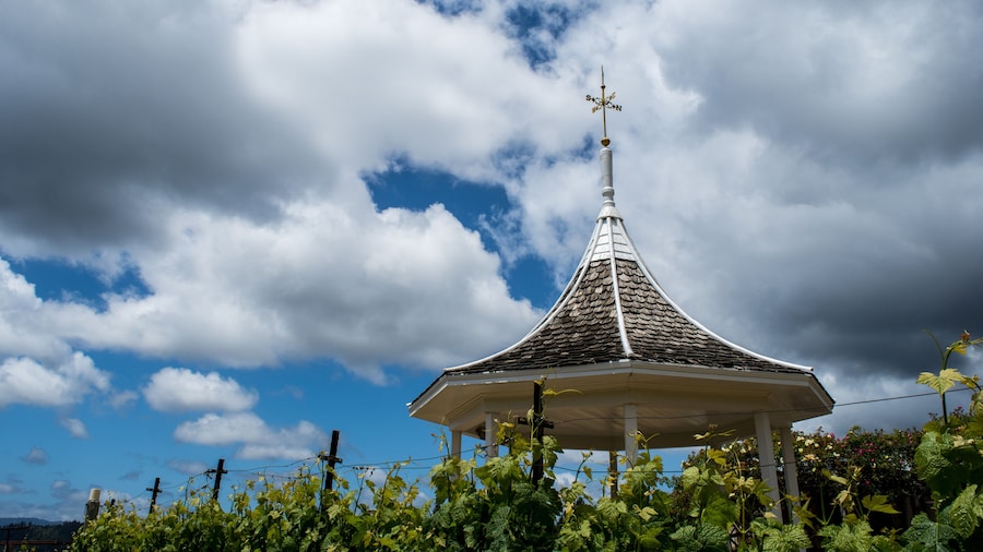 โรงกลั่นไวน์เวเธอร์เวน