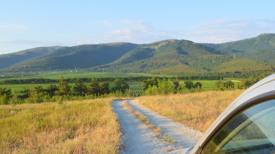 Stony Mountain Vineyards