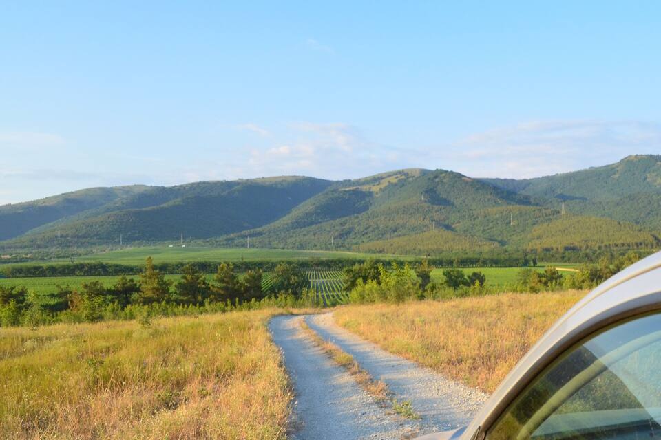 A gravel road winding through a hilly landscape with green fields and distant mountains.